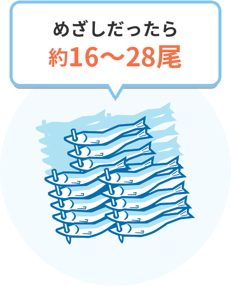 めざしだったら 約16～28尾