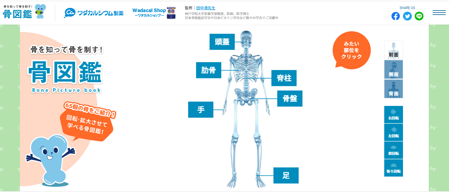 骨図鑑